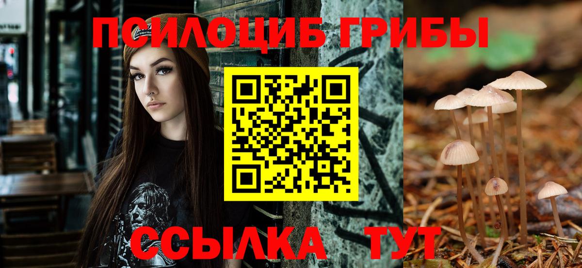 Галлюциногенные грибы GOLDEN TEACHER Краснокаменск