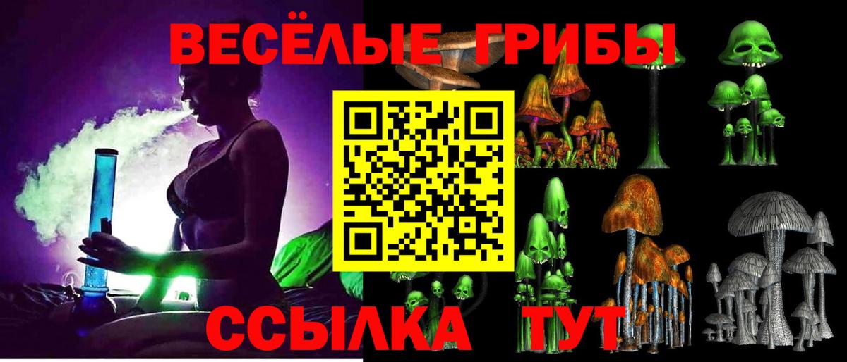 Галлюциногенные грибы Psilocybine cubensis  Вход с VPN  Псилоцибиновые грибы мицелий  Краснокаменск 