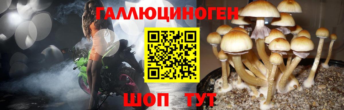 Галлюциногенные грибы мухоморы Краснокаменск